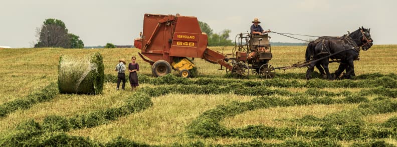 Escapades romantiques au pays amish des États-Unis