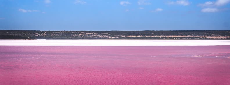trÃ©sors cachÃ©s de l'Australie: le lac Hillier, le lac rose d'Australie