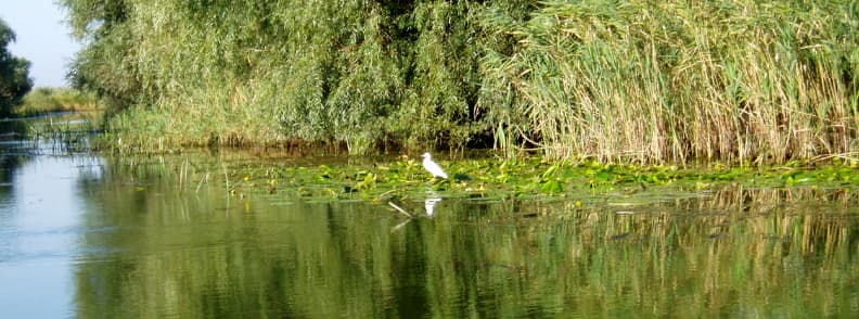 Raison de visiter la Roumanie Delta du Danube