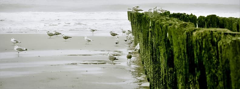 Vacances à Knokke-Heist Belgique