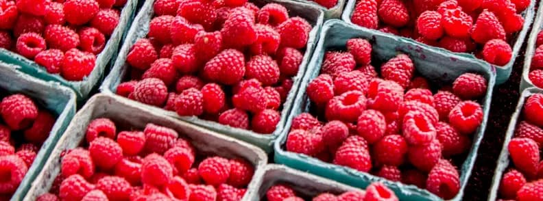 baies sur un marché du Michigan