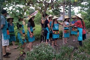 cours de cuisine et visite du marché à chiang mai