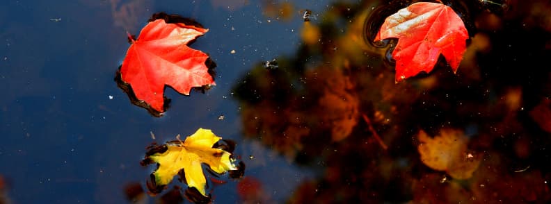 la route des lacs et des feuilles en automne du Maine