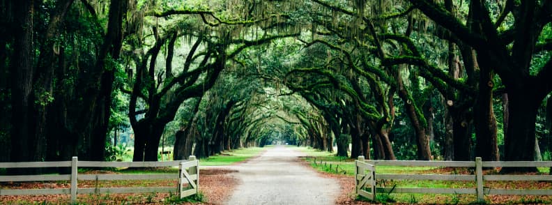 plantations du sud géorgie destination de vacances romantique pour les couples