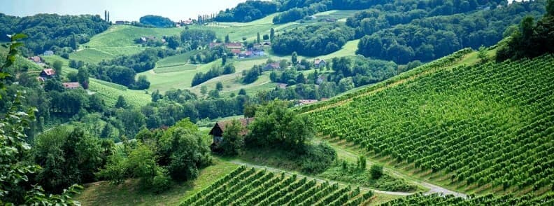rÃ©gion viticole en Autriche Styrie