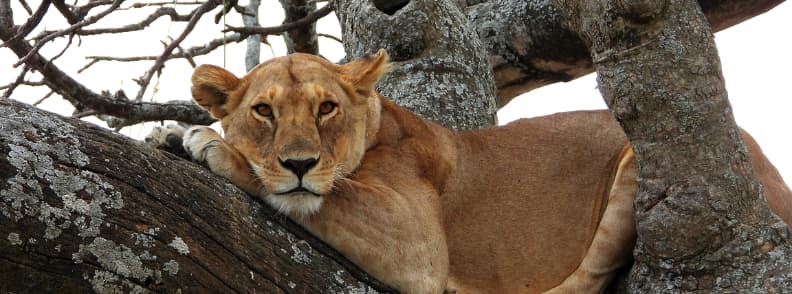 tanzanie destinations pour le voyageur seul