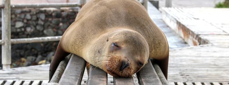 vacances aventure aux galapagos