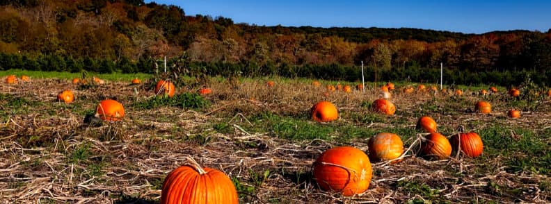 voyage en voiture dans le Connecticut en automne