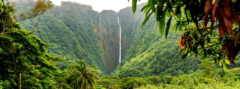 Vacances à Hawaï grande île waipio