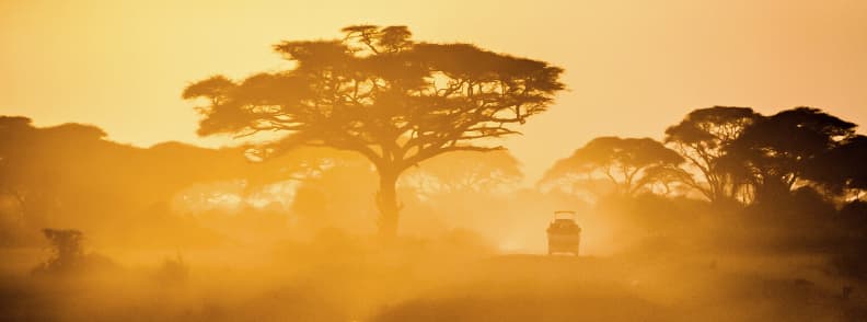 Afrique en vacances en toute sécurité