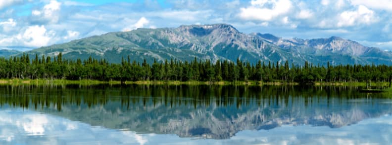 denali camping aux États-Unis