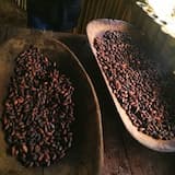 visite chocolat costa rica cahuita