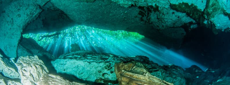 Cenotes Jardin Del Eden ou cenotes ponderosa