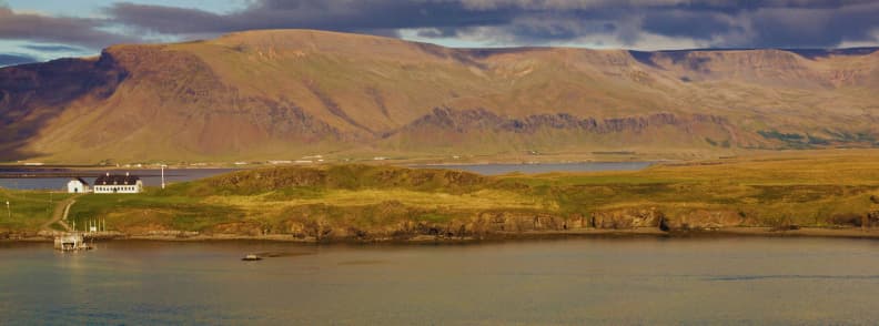 ile Videy excursions depuis Reykjavik