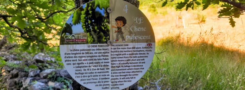 panneau educatif sur le chene pubescent le long du sentier decouverte botanique de la grotte de Saint Cezaire