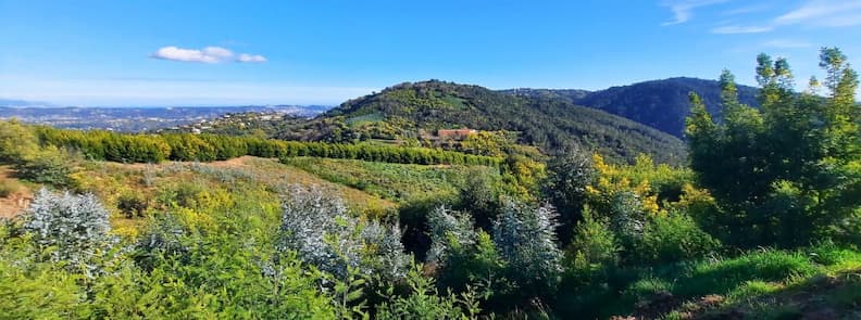 Balade coeur des mimosas Tanneron sentier massif Var Sentier de balade au cœur des mimosas à Tanneron traversant le Massif du Tanneron avec vue ouverte sur les collines du Var