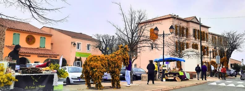 Fete du mimosa Tanneron place du village Var Place du village de Tanneron animée lors de la fête du mimosa avec stands locaux décorations florales et habitants réunis