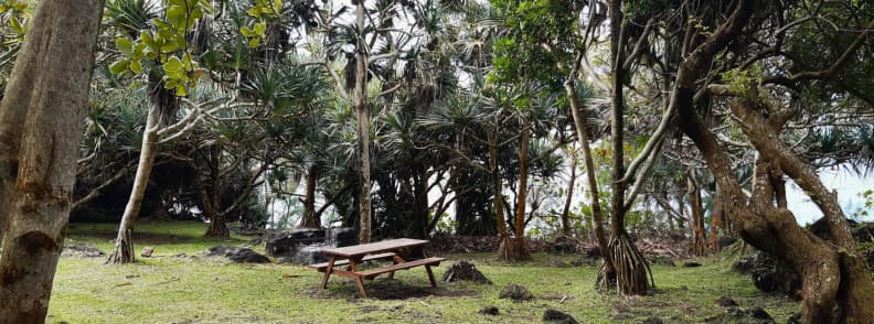Aire de pique-nique à La Cayenne sur la côte est de La Réunion sous des pandanus près de l’océan