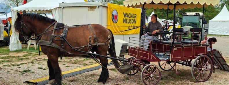 foire de brignoles caleche chevaux tradition activites famille provence Calèche tirée par un cheval à la Foire de Brignoles, avec passagers profitant d’une animation traditionnelle en Provence.