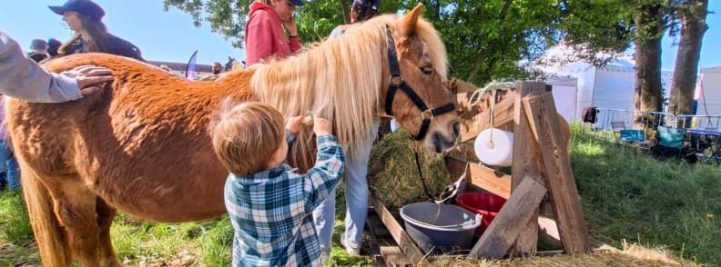 foire de brignoles poney club enfants animaux activites famille Enfant participant à un atelier poney club à la Foire de Brignoles, caressant un poney dans un espace animaux en plein air.