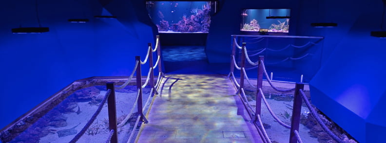Passerelle centrale de l’aquarium méditerranéen de Posidonia Antibes entourée de bassins, d’aquariums et d’une ambiance immersive aux lumières bleues.