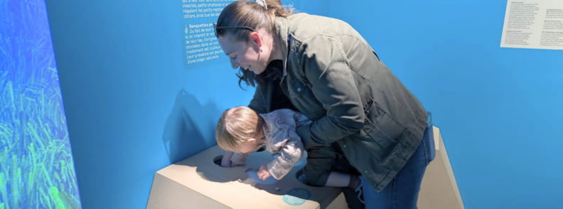 Mirela Letailleur The Travel Bunny et jeune enfant découvrant un dispositif tactile sur les fonds marins à Posidonia Antibes, dans l’exposition interactive dédiée aux habitats méditerranéens.