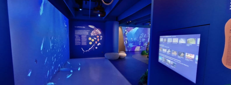 Salle immersive de Posidonia Antibes avec projections d’animaux marins, panneaux pédagogiques et expositions interactives sur la biodiversité méditerranéenne.