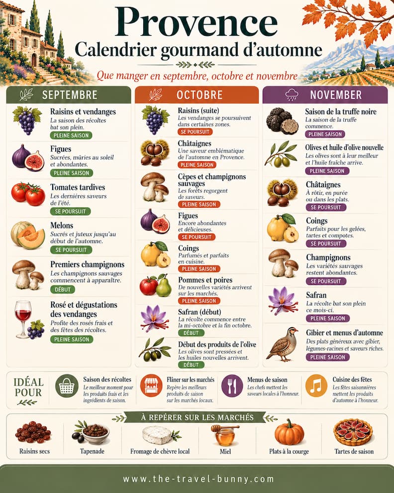 Calendrier gourmand de la Provence en automne présentant les produits de saison à manger en septembre, octobre et novembre, des vendanges aux truffes noires.