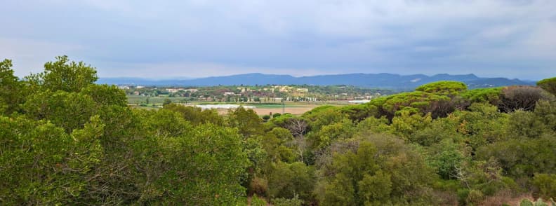 Vue panoramique depuis le Parc Aurélien à Fréjus, avec une forêt de pins méditerranéens au premier plan, des espaces cultivés et des collines du Var à l’horizon.