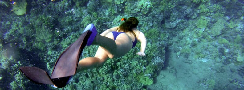 excursii din atena la maraton pentru snorkeling