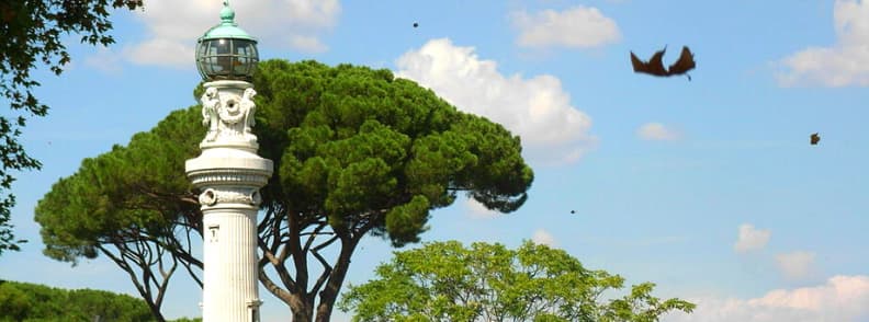 janiculum parc din roma