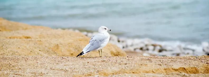 vacanta de vara la plaja lacul michigan