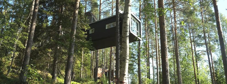 cele mai bune casute in copac suedia treehotel