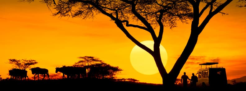 safari in tanzania africa
