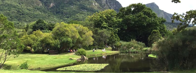 Gradina Botanica Kirstenbosch vizita Cape Town