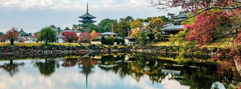 calatorie in japonia in timp scurt