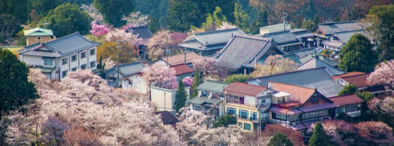 nara excursie in japonia