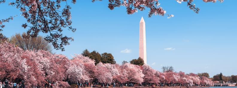 washington dc vacante fara plaja in sua