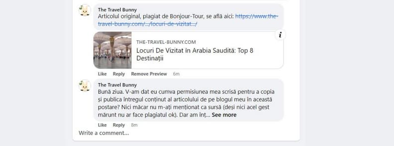 plagiat bonjour tour romania nae adriana cristina