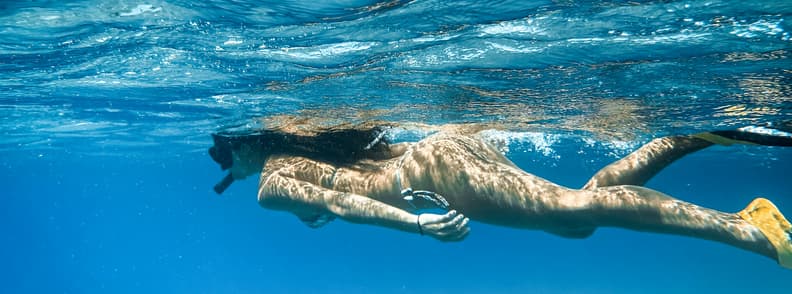 vacanta in Bora Bora snorkeling