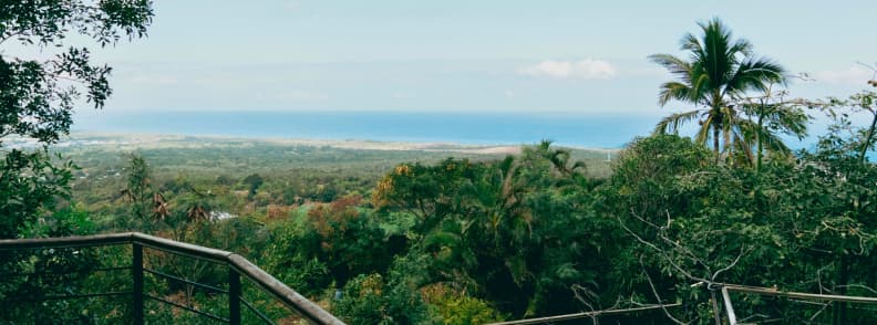 Punct de belvedere de pe coasta de vest a insulei Reunion cu vegetație tropicală, palmieri și oceanul în depărtare