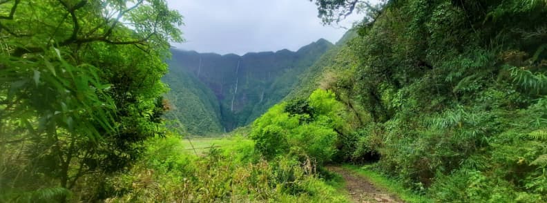 Traseu prin pădure tropicală la Grand Etang Reunion, cu potecă îngustă printre vegetație densă și vedere spre versanți verzi și cascade îndepărtate.