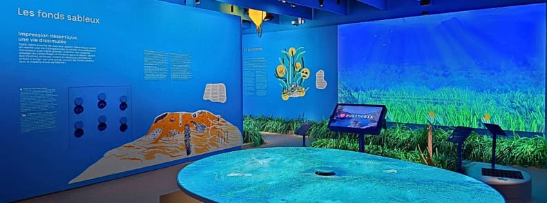 posidonia antibes expozitie habitate mediteraneene espace mer et littoral Expoziție interactivă despre habitatele mediteraneene la Posidonia Antibes, cu proiecții ale pajiștilor de posidonie, panouri educative și instalații multimedia în Espace Mer et Littoral.