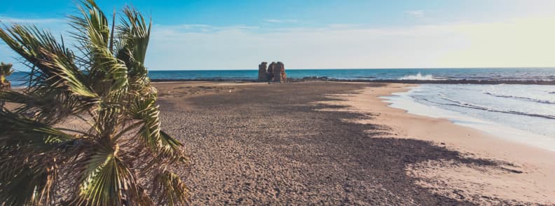 Plajă publică întinsă din Ladispoli, cu nisip închis la culoare, palmieri, ruine pe țărm și valurile Mării Tireniene