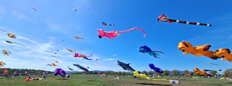 Zmeie uriase si Sportkite Festival de l Air Frejus Zmeie uriașe în formă de animale și personaje colorate zboară deasupra terenurilor de la Festival International de l’Air Fréjus, alături de zmeie Sportkite.