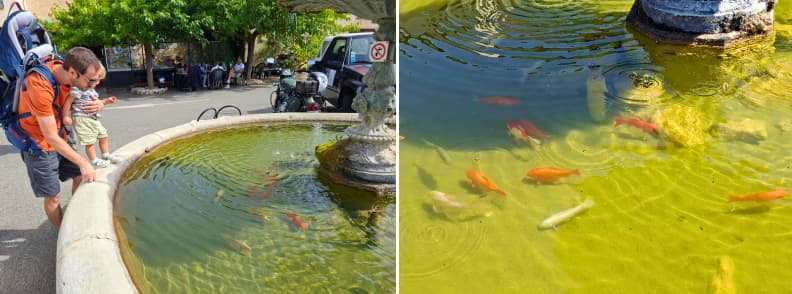 Fantana cu pesti aurii Mons Var cu copii Tată și copil mic privind peștii aurii din fântâna de la Place Saint-Sébastien din Mons Var, în timpul unei plimbări prin sat.
