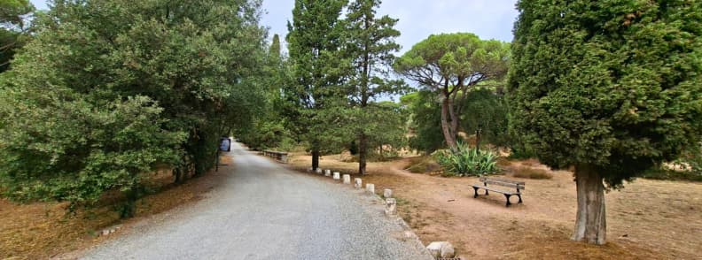Alee largă prin grădina mediteraneeană din Parc Aurélien, Fréjus, cu pini umbrelă, chiparoși, vegetație deasă și o bancă la marginea drumului.