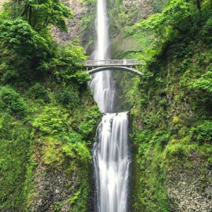 Morning Half-Day Multnomah Falls Tour