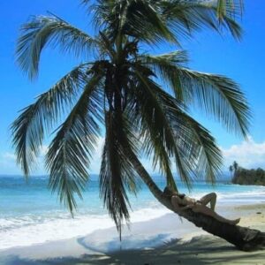 Cahuita National Park Hike and waterfall