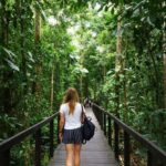 Cahuita National Park Hiking Tour. Traveler walking on a wooden boardwalk during a Cahuita National Park hike in Costa Rica rainforest
